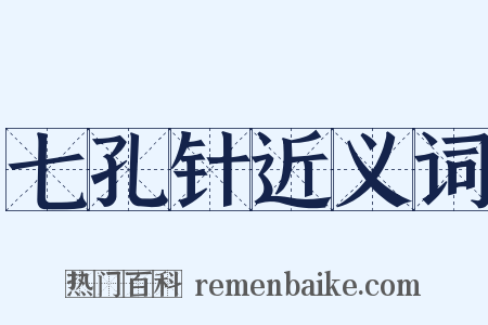 七孔针近义词是什么意思的图片